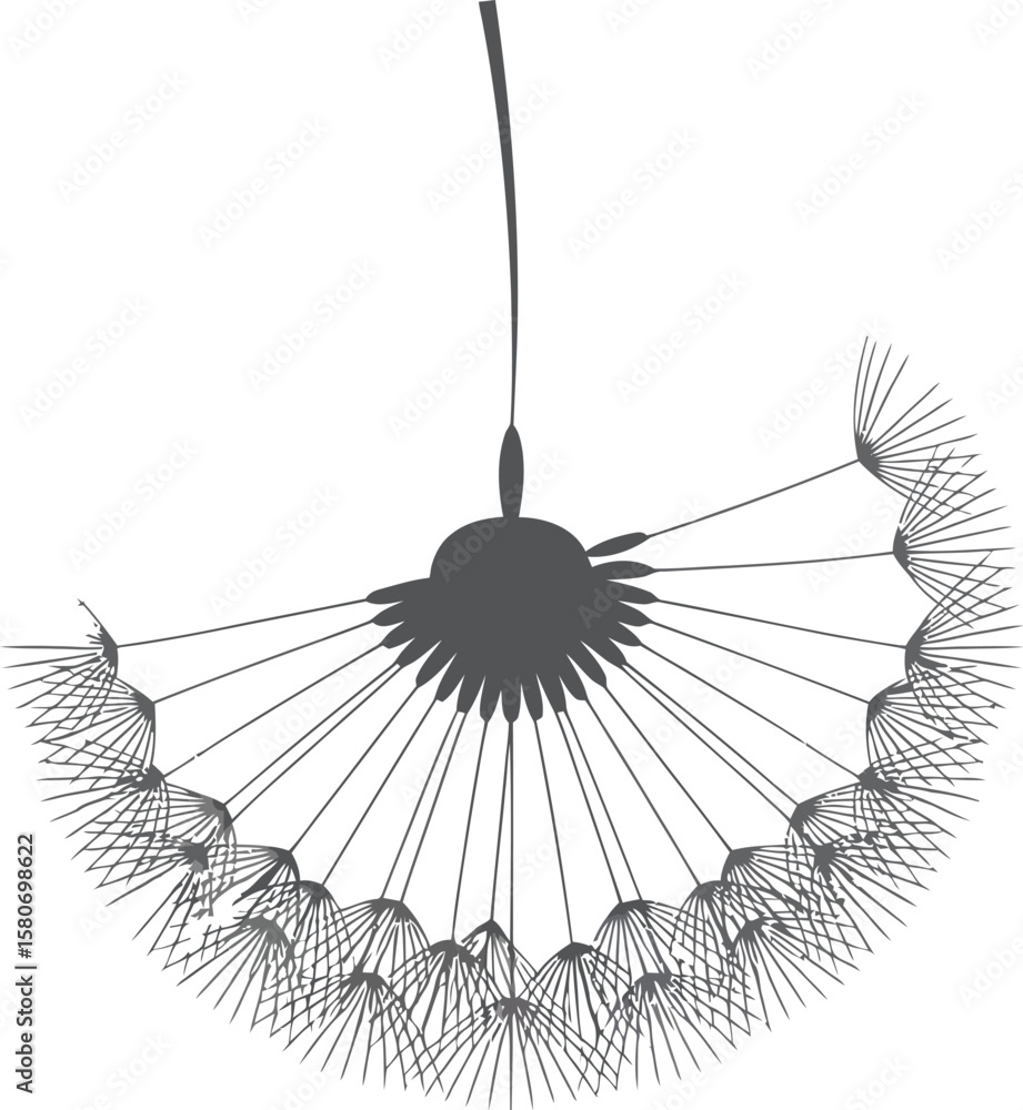 Poster isolated half dandelion seed head with stem on a white background in a minimalist style image art