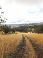 country road in autumn