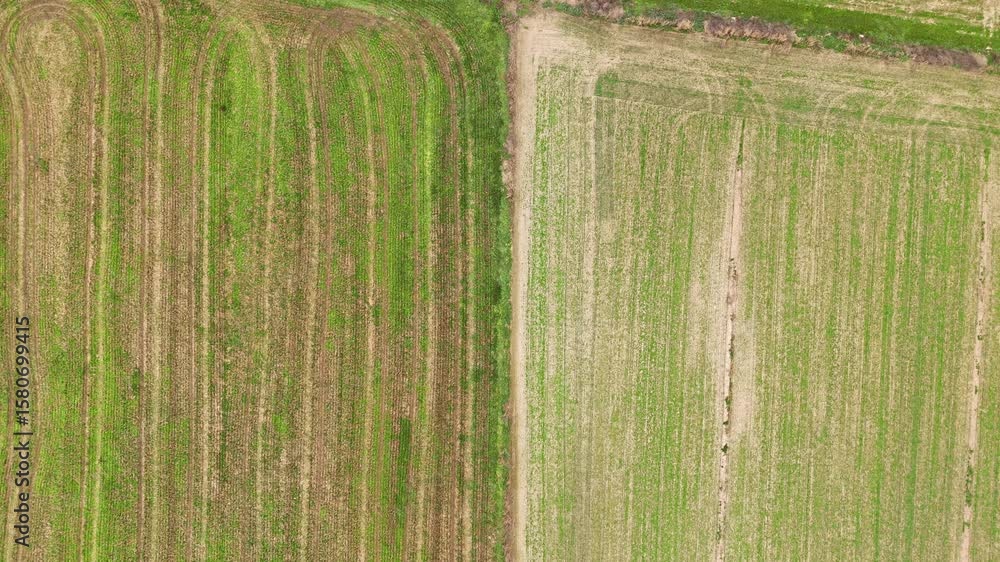 Poster aerial shot capturing the geometric patterns of adjacent agricultural fields with different crop typ