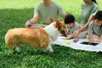 An adorable dog is playing near the kids, and parents enjoy drawing and relaxing on a picnic blanket