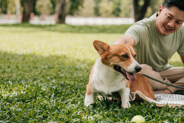 Close-up of a joyful Corgi playing on the grass with owner in sunny park