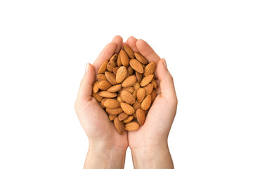 hand holding almonds isolated on white, transparent background 