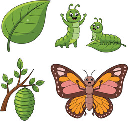 Fototapeta premium Cartoon butterfly life cycle, cute caterpillar transformation, green leaf and cocoon, educational insect illustration, metamorphosis stages art, fun biology concept, nature lifecycle