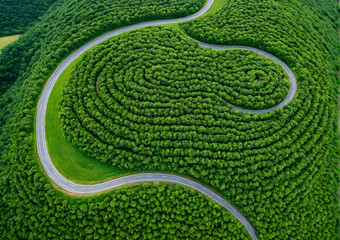 aerial vu of a field