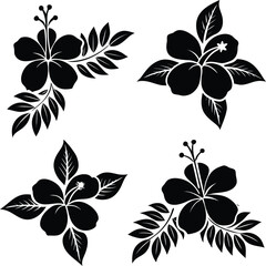 Obraz premium Black hibiscus flowers and leaves decorative elements botanical floral