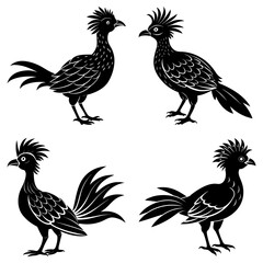 Four stylized black roadrunners with crests standing in various poses on a white background illustration