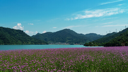 Beautiful lake surrounded by purple flowers and green mountains