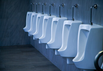 Interior of modern and classic restroom with white wall and warm light, Row of sanitary ware with...