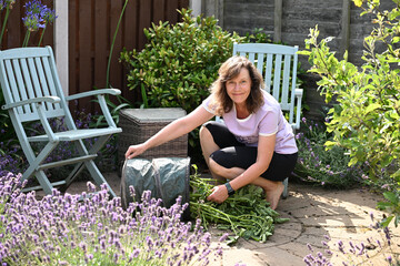 Pulling out potatoe plants from a growing sack.