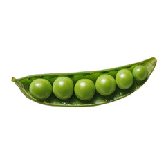 Fresh green pea pod with seven plump peas inside isolated on transparent background