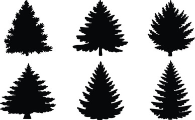 Fototapeta premium Silhouette evergreen trees illustrate diverse pine and fir shapes, offering a classic coniferous forest depiction against a stark white background