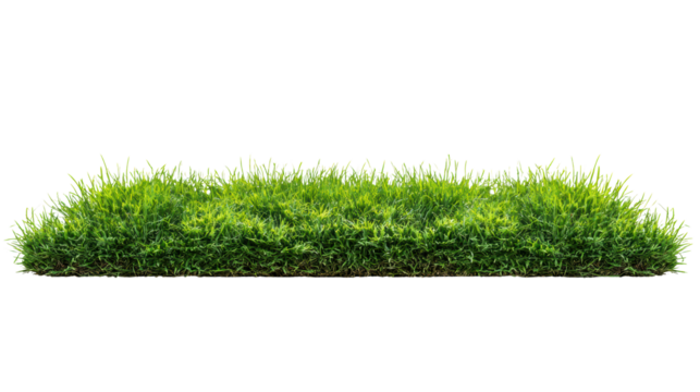 Lush green grass patch on a transparent background for creative designs and presentations.