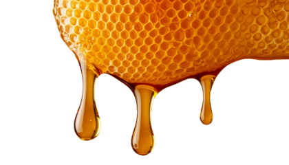 Texture of dripping down medical drops and drips clipart on transparent background PNG. Natural eco-friendly product.