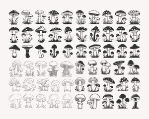 Collection of Mushroom Illustrations Featuring Different Species and Styles, Perfect for Botanical Art, Nature Designs, Fantasy Themes, T-shirt Designs, Stickers, and Printables with a Magical Vibe