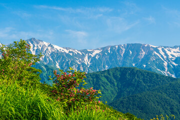 朝の八方山と八方池風景