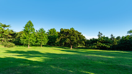 Green grassland with various trees under clear blue sky