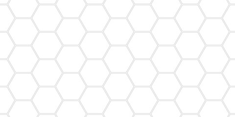 . Abstract background with lines . white texture background . hexagon abstract background.