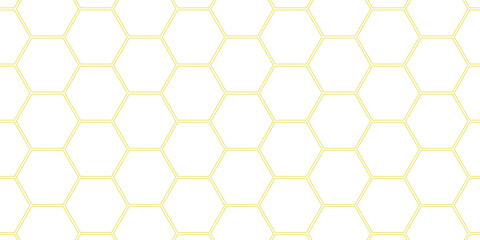 . Abstract background with lines . white texture background . hexagon abstract background.