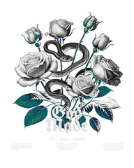 Serpentine Elegance: A stylized, black-and-white illustration showcases a snake intertwined amidst a cluster of roses, creating a blend of natural beauty and artistic flair.