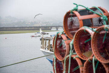 Octupus traditional fishing cage. These traditional cages, called nasa in Spanish, are used to capture octupus, one of the most important seafood in Galicia.