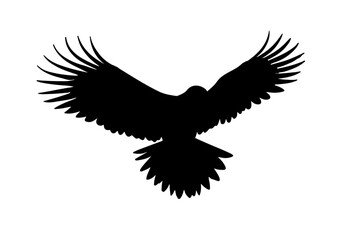 Fototapeta premium bird silhouette