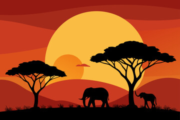 sunset over savannah with acacia trees and eleph