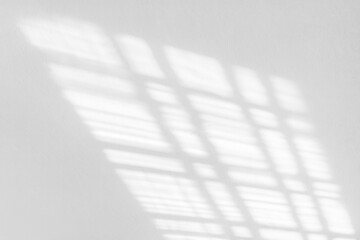 The background is the shadows from the window frame cast by sunlight on a white wall. The soft...