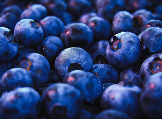 closeup of blueberries