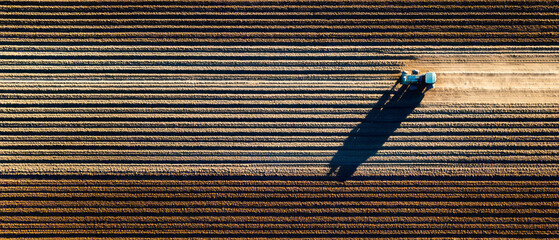 Aerial drone image of precision agriculture showing geometric crop lines and an autonomous tractor plowing sunlit soil with long shadows. ai generative