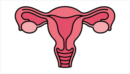 Female Reproductive System Illustration