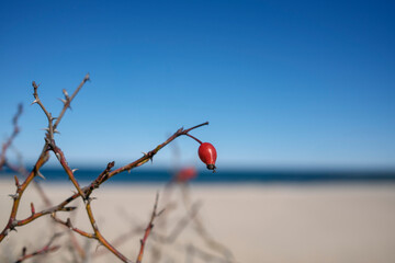 Ostseebad Kühlungsborn