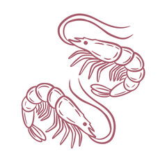 Fototapeta premium Red hand-drawn shrimp illustration. Elegant seafood element perfect for restaurant menus, culinary branding, packaging, and ocean-themed designs.