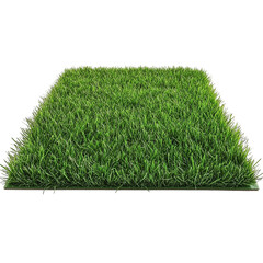 green grass isolated on white background