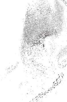 Grunge Vector Overlay, Distressed