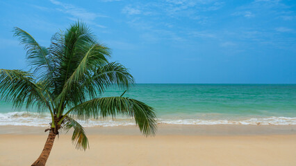 Obraz premium Tropical sea beach with sand and coconut tree with blue sky