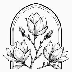 Elegant sketched magnolia flowers framed within a decorative archway design © Anika