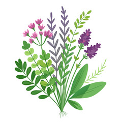 Bunch of fresh thyme and lavender herbs with delicate flowers