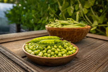 Freshly harvested green peas