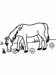 Fototapeta premium Cute horse grazing in a meadow with flowers - Concept of children's coloring pictures 