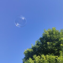 Floating Soap Bubble Against a Clear Blue Sky