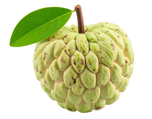 Fototapeta premium Close-Up of Whole Ripe Sugar Apple with Attached Green Leaf, Centered Studio Lighting, Transparent Background