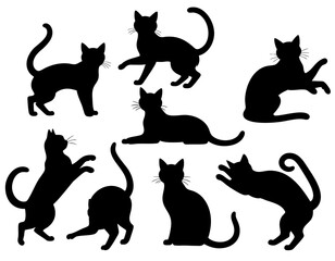 Black Cats in Various Poses