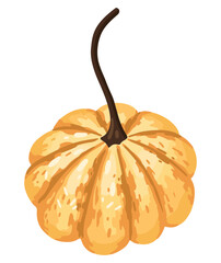 Hand-drawn autumn pumpkin. Vector.