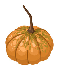 Hand-drawn autumn pumpkin. Vector.