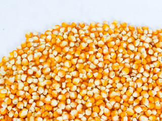 top view of isolated white background dry raw corn kernels