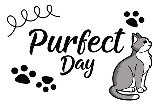 Charming hand lettered script font celebrating a purrfect day with playful elements