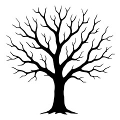 Fototapeta premium Artistic Silhouette of a Leafless Tree on a White Background