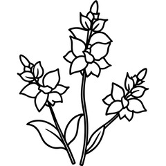 Elegant outline of a single delphinium flower stem with delicate narrow leaves