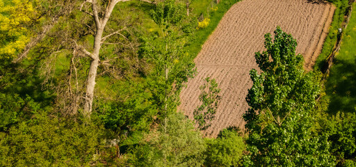 Aerial view of lush greenery surrounding freshly plowed farmland. Featuring tall trees and vibrant foliage. Showcasing the harmony between agriculture and nature.