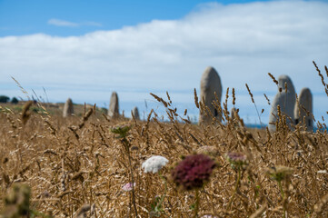 Menhirs park on Campo de la Rata in A Coruna, Galicia, Spain